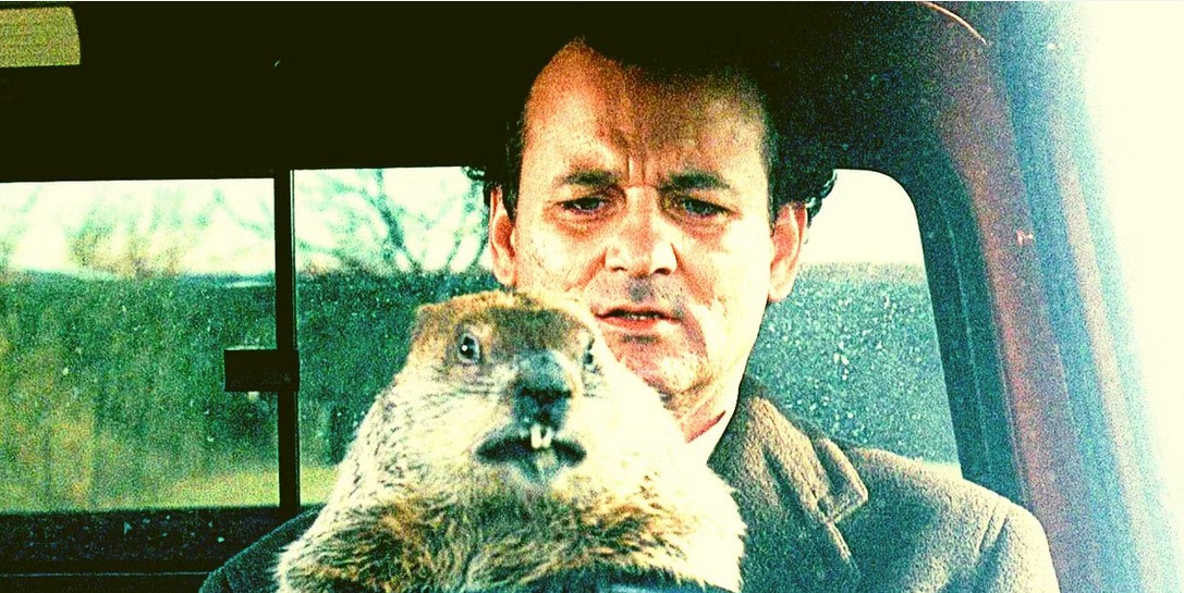 this is groundhog day